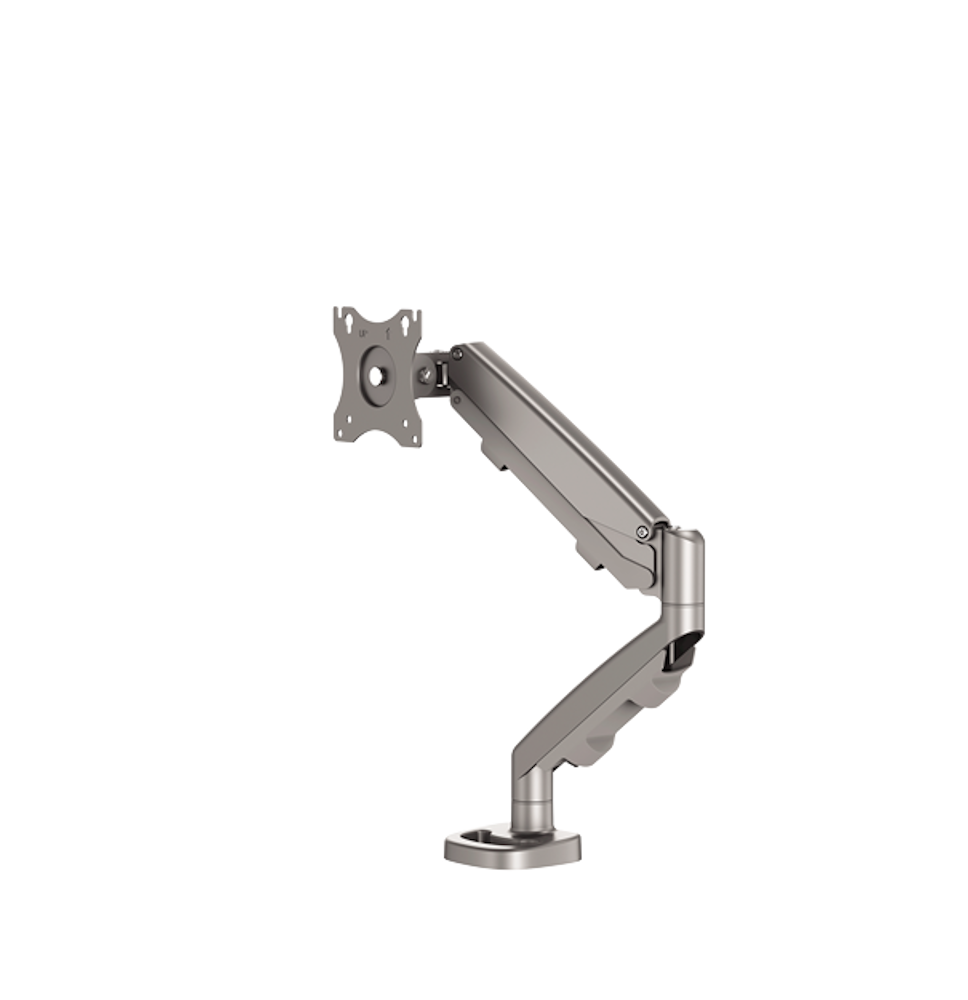 Bras porte-écran simple Eppa™ gris 4