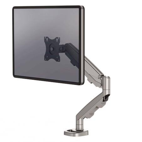 Bras porte-écran simple Eppa™ gris