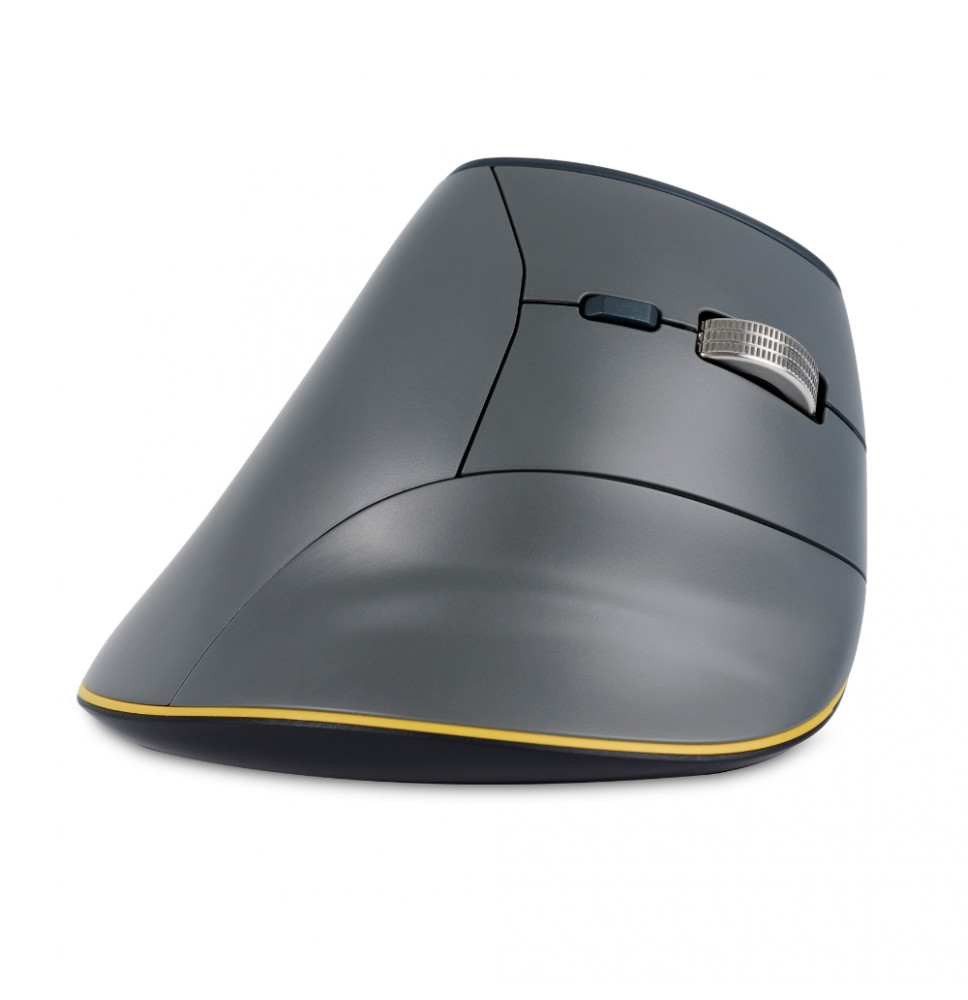FastForward souris verticale