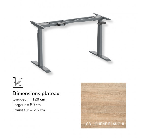 FlexMove E3S - Bureau assis-debout électrique réglable en hauteur