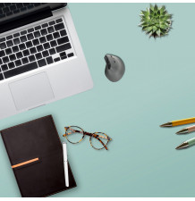 FastForward Pro 3 - Souris verticale en situation