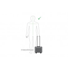 Targus -Trolley TCG717 – Sacoche à roulettes pour PC portable 17,3" – Voyage & télétravail