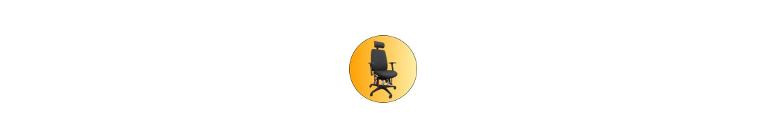Fauteuil de bureau ergonomique | Sièges de bureau professionnels –