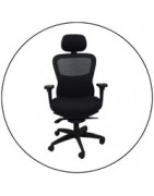 Chaise ergonomique - Des chaises ou coussins pour se muscler le dos
